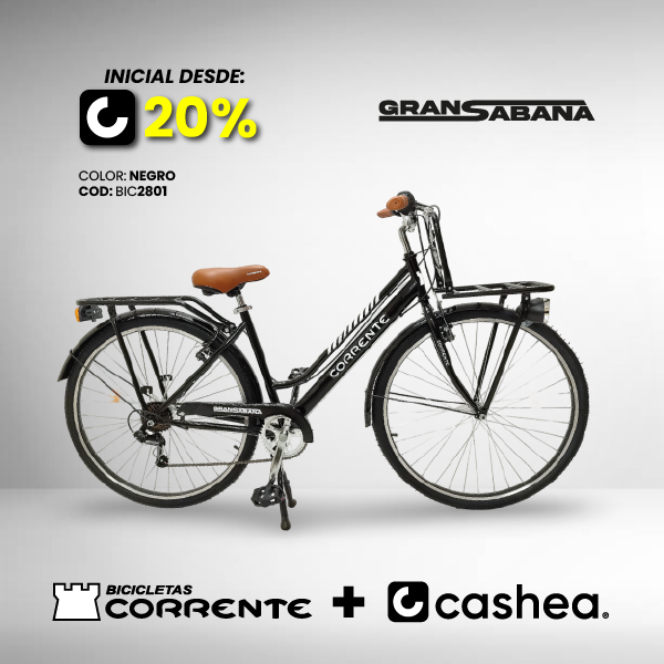 Bicicleta de Carga Rim 28" con 6 velocidades marca Shimano, parrilla de carga delantera y trasera, paral central, con una capacidad de carga de 80Kg.
