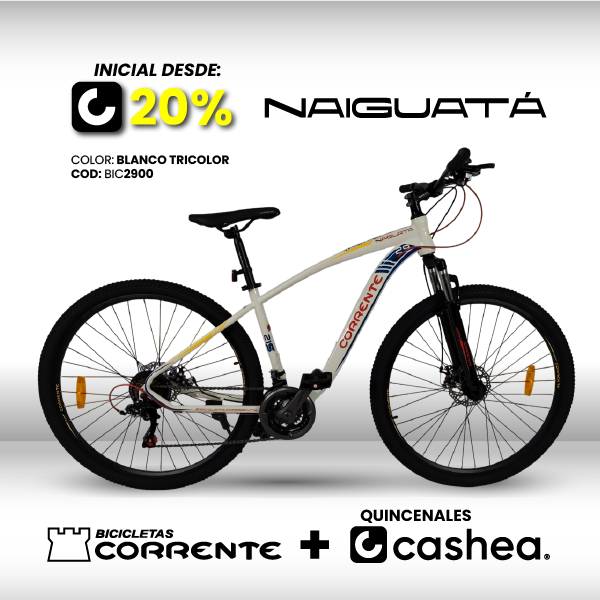 Bicicleta MTB Rim 29", Frenos Mecánicos, 21 velocidades marca SHIMANO Tourney TZ/EZ FIRE, Cuadro de acero 1020 oversize, Suspensión delantera, Rines de aluminio doble pared.