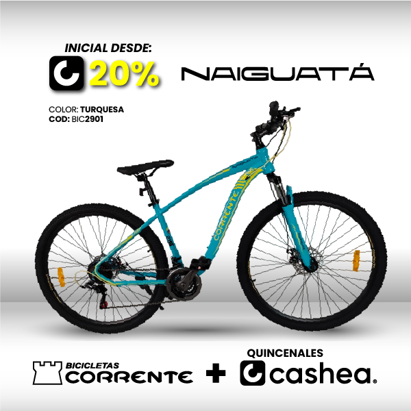 Bicicleta MTB Rim 29", Frenos Mecánicos, 21 velocidades marca SHIMANO Tourney TZ/EZ FIRE, Cuadro de acero 1020 oversize, Suspensión delantera, Rines de aluminio doble pared.